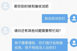崇川为什么选择专业追讨公司来处理您的债务纠纷？